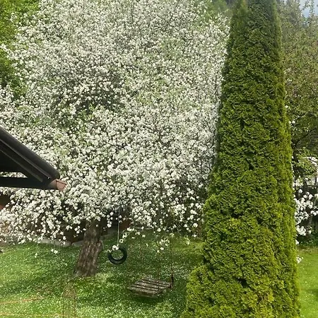 Am Fritzbach Apartment Pfarrwerfen